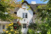 Haus Foehr Whg Up de Warft Borgsum Ferienwohnung für 4 Personen  auf der Insel Föhr